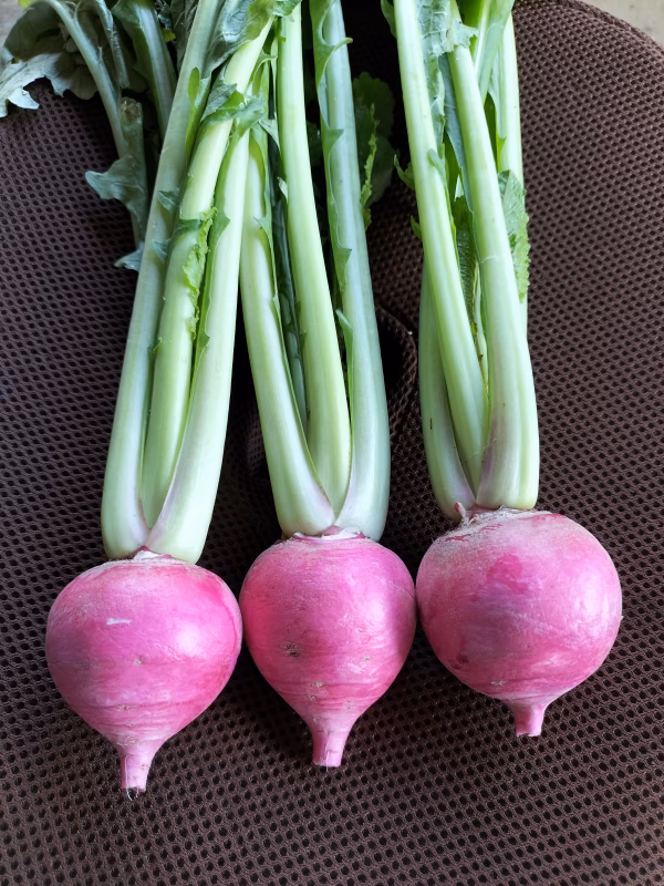 もものすけカブ