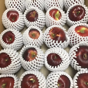 青森県産りんご 「紅玉」家庭用 キズ有 約5kg~