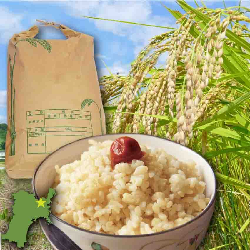 [新米予約]ひとめぼれ 玄米10kg 令和7年 宮城県登米市産 10kg(5kg×2)