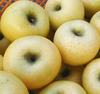 いまでもパリパリ！【ふじ＆ゴールド】食べ比べ約３ｋｇ　スマートフレッシュ処理済！