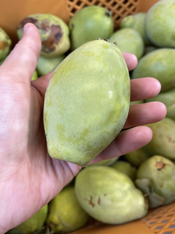 傷物•小玉B級品☆香りで楽しむ♪かりん☆加工用果物