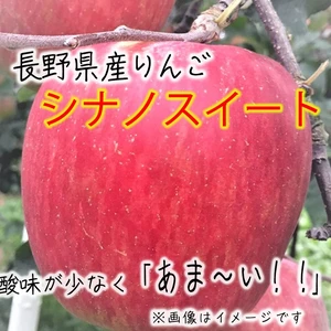 【レギュラー品】シナノスィート 長野県産りんご 10月中旬～
