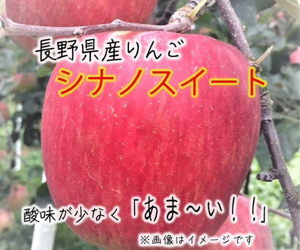 【レギュラー品】シナノスィート 長野県産りんご 10月上旬～ 発送予定