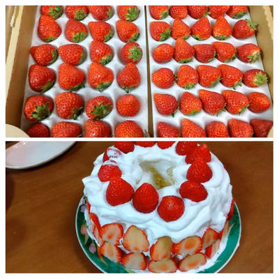 みんなの投稿の画像