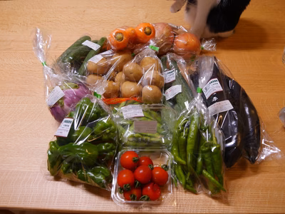 みんなの投稿の画像