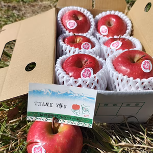 【春ギフト】ピンクレディー®｜ありがとうを贈るりんご箱｜メッセージカード付
