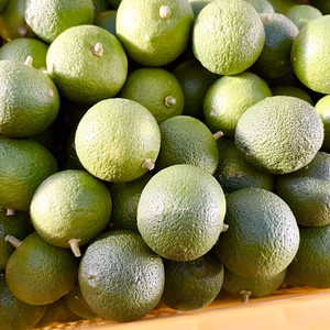 おうちで楽しむカボス2kg