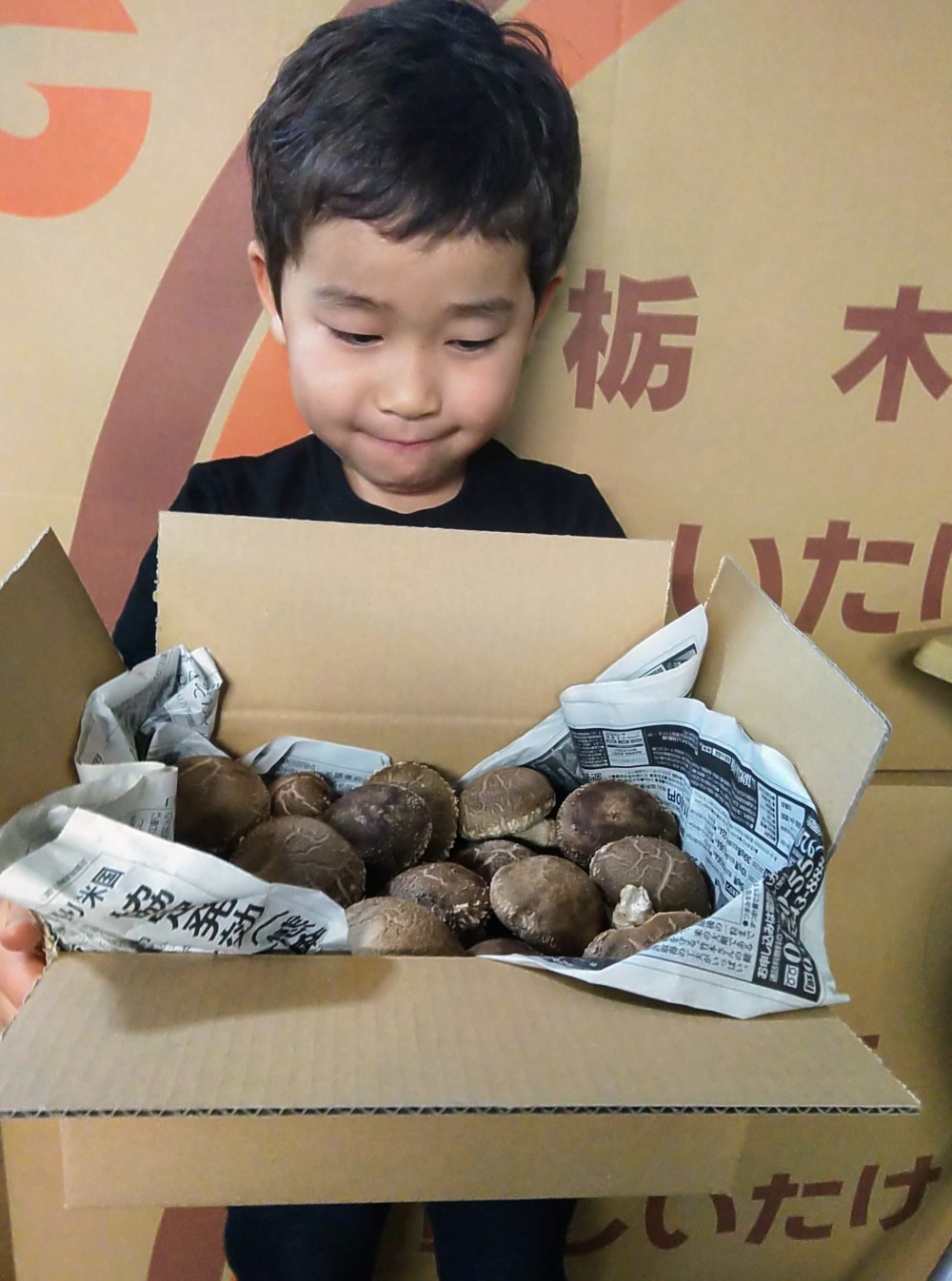 ふるさと納税 北海道 下川町 簡易包装 生しいたけ2kg 軸太 肉厚 椎茸