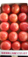 この時期だけ！超大玉トマト。３Ｌ、４Ｌの大玉。重量比は、かなりお得です。