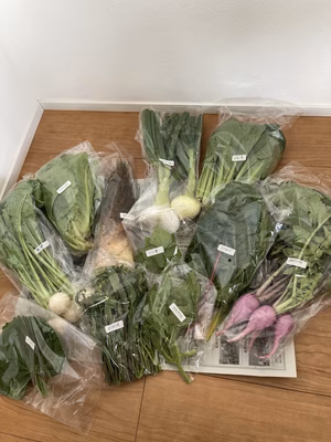 みんなの投稿の画像