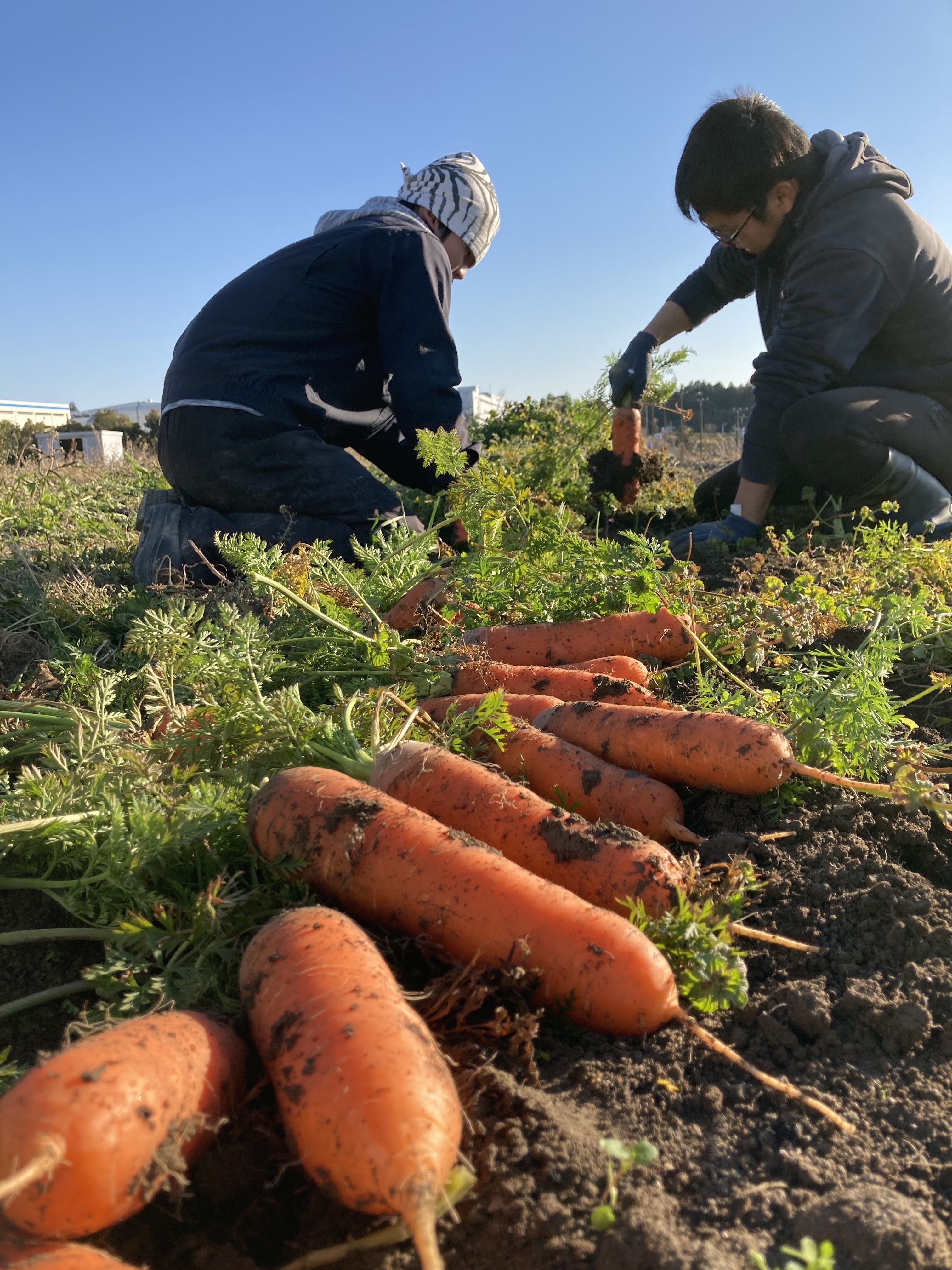 静岡県掛川市｜オーガニック農園しあわせ野菜畑｜大角昌巳さんの生産者