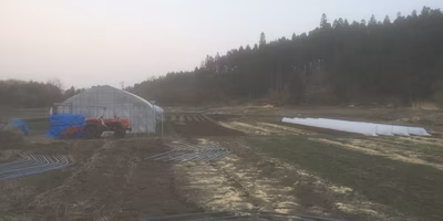 洪水の後は、種をまこう