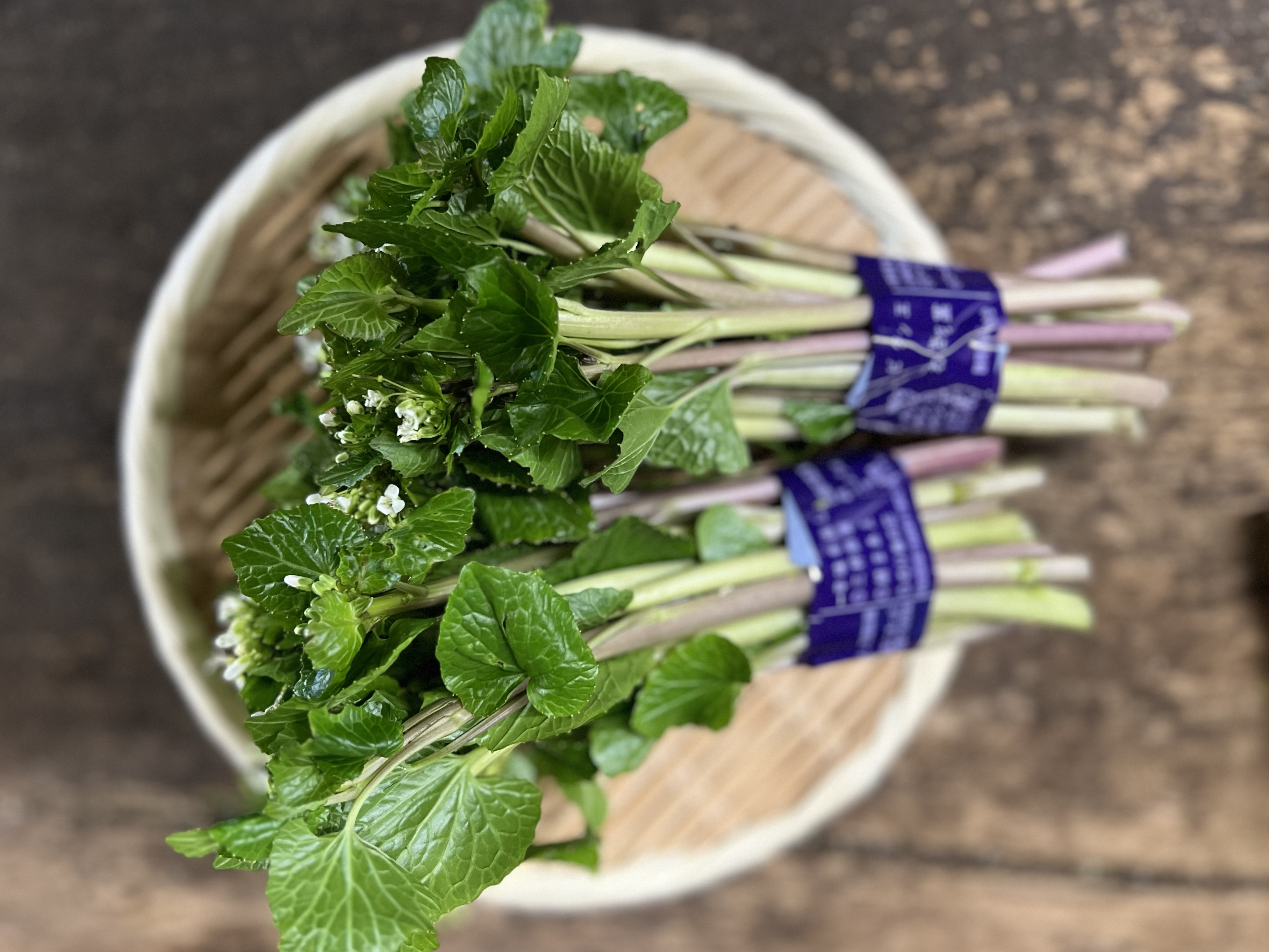 伊豆産 花わさび 500g - 野菜