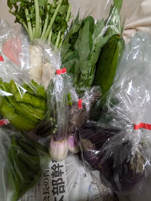 みんなの投稿の画像