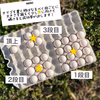 ✨たまごピラミッド✨3棟分（スモールサイズの白タマゴ×90個）