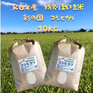 R6年産特別栽培米　彩の国　コシヒカリ　５㎏×2袋