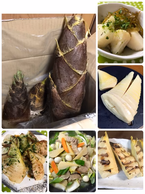 みんなの投稿の画像