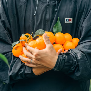 《訳あり品》少し大きめ2Lサイズ　段畑みかん　ご家庭用