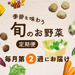 【第2週お届け】季節を味わう　旬のお野菜定期便