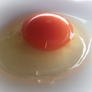 □日付指定可能□【ちょっと小さめ赤卵50個】『枯草菌』育ちの鶏の赤卵50個