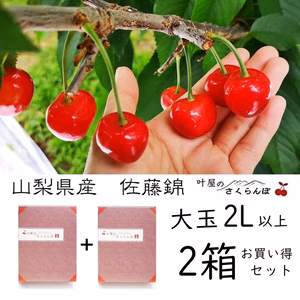 《お得》佐藤錦2L以上2箱組　1kg/1.6kg/2kg【６月中旬発送】　