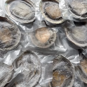 １点物　アワビ　鮑　-60度急速冷凍　10枚で 1436g（傷物、訳あり品）#キ