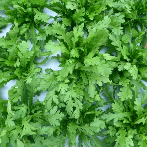 無農薬＊サラダ春菊500ｇ＆小松菜500ｇ～シャキリ元気‼