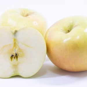 樹上完熟　あま～いりんご　トキ　一玉35円　青森県産　農家直送