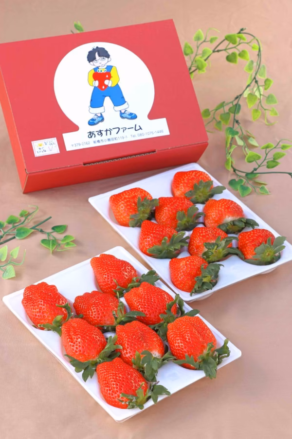 【1月予約、お年賀】やよいひめ かなり濃い味を皆様へ 400ｇ 2パック