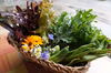 旬の野菜セットS/5-6品目＆エディブルフラワーミニ【自然栽培】無肥料無農薬