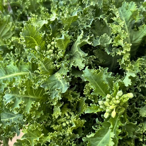 [菜花入り]苦くない！甘く濃厚そのまま食べれるサラダケール