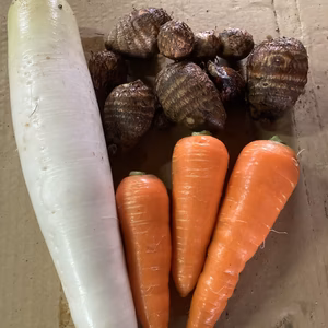 冬野根菜セット