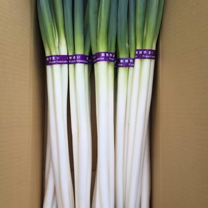 ねぎ Lサイズ3本束 10束入