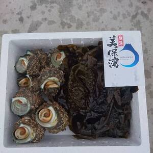 サザエとわかめのセット