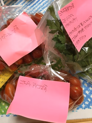 みんなの投稿の画像