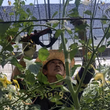 磯貝満一 | 磯貝農園