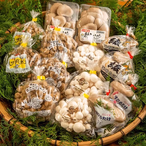 農家直送！A品無農薬きのこの詰め合わせ