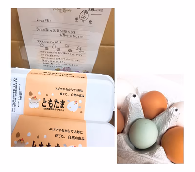 みんなの投稿の画像