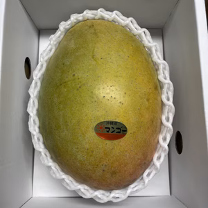 家庭用パール　1.4kg 1玉