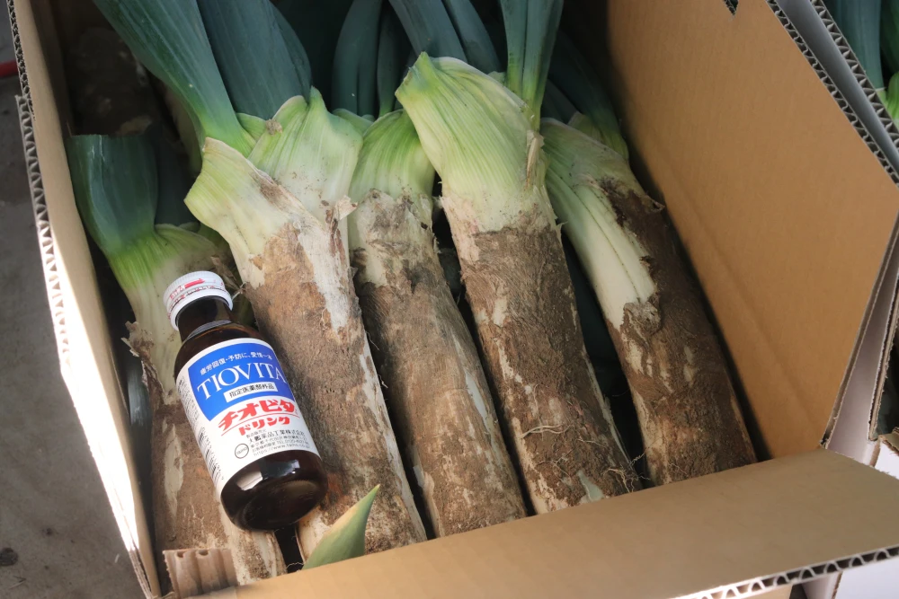 お蚕さまも手伝う「泥付き下仁田ねぎ」3.5kg【3Lサイズ 13本前後】