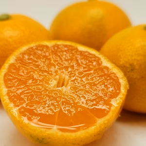 ゆら早生　　薄皮で甘く酸味もなく食べやすいみかん