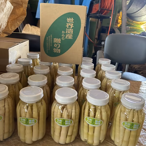 天然 根曲がり竹 水煮瓶詰め｜大容量 約450g（1瓶）