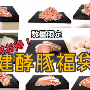 【復活!!】冷凍庫開けといて！たっぷり福袋！！