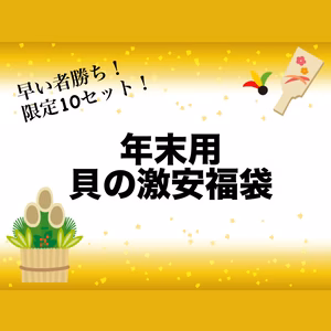 【年末用 福袋】感謝を込めて10セット限定！貝の福袋 