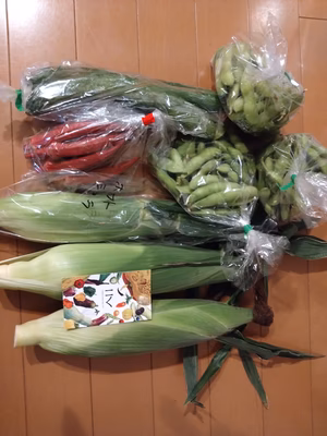 みんなの投稿の画像