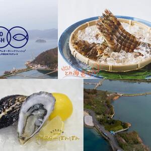 【冷凍•生食用】とれ海老やん冷凍&オイスターぼんぼん冷凍ハーフシェル特別セット！