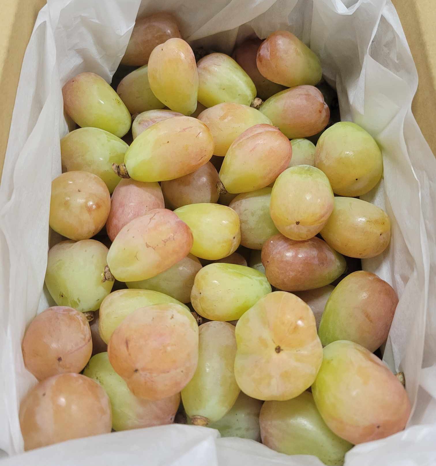 バイオレットキングの産直通販・お取り寄せ商品｜ポケットマルシェ