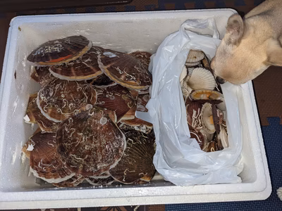 みんなの投稿の画像