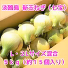 春限定！！その甘さに感激！淡路島新玉ねぎ　５ｋｇ（早生・七宝）