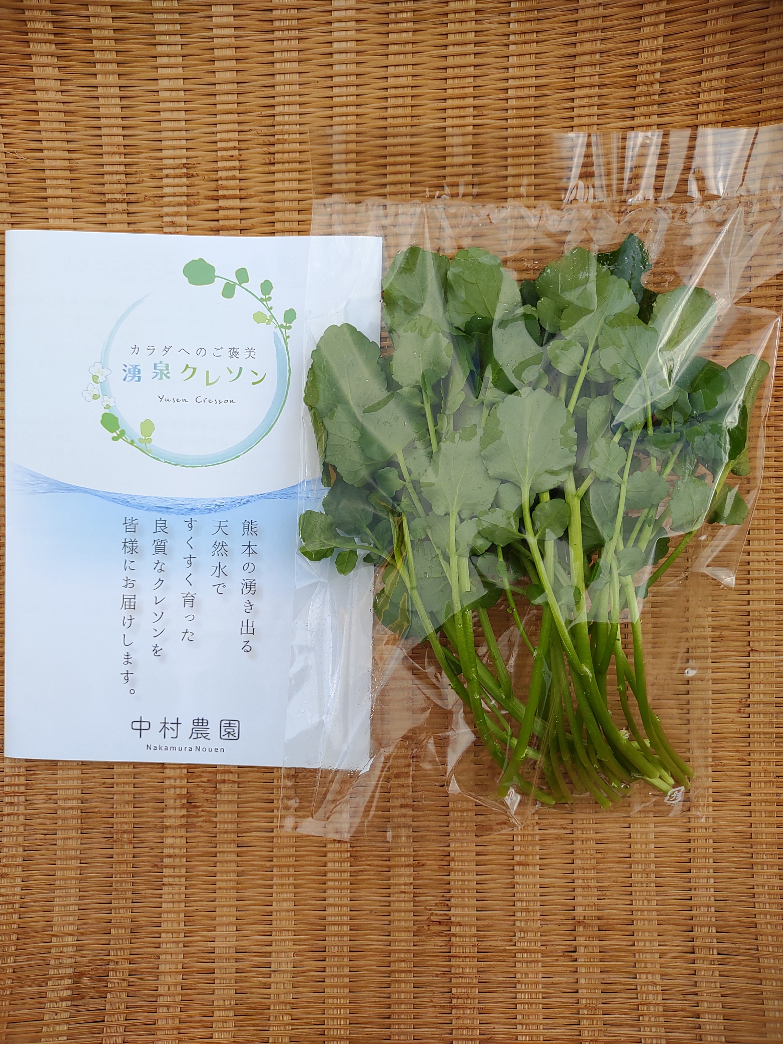 ３キロ 阿蘇の湧水で育った清流天然クレソン - 野菜